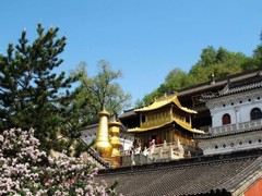 显通寺图片