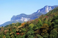金佛山风景区图片