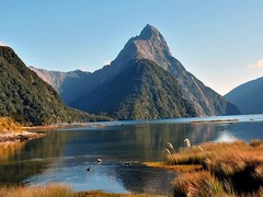 米福尔峡湾