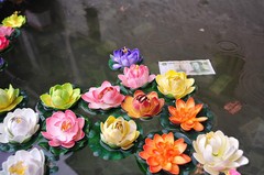 拉萨大昭寺图片