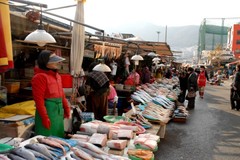 釜山图片
