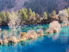 九寨冬景