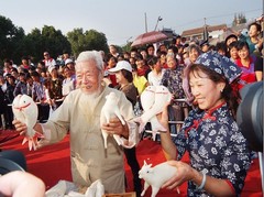 慈城古镇图片