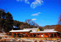 冬景