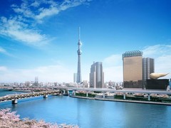 天空树