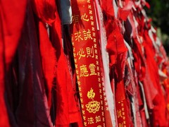 锦州图片