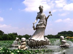 玄武湖图片