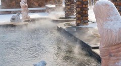 香根2