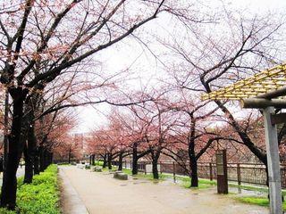 大阪城公园