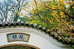早春1