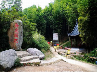 卧虎藏龙
