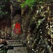  拓1