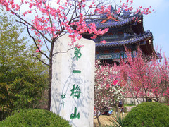 南京图片