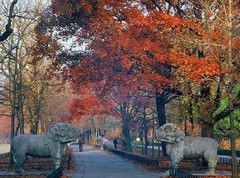 南京图片