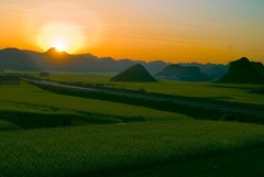 罗平油菜花海图片