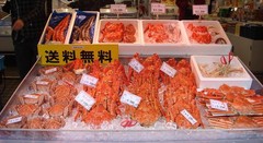 北海道图片