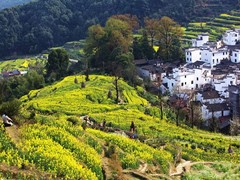 婺源江湾景区图片