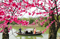 西溪湿地图片