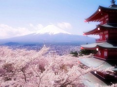 清水寺图片