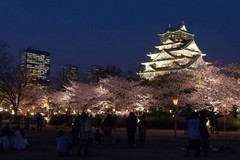 大阪城公园图片