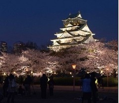 大阪城公园图片