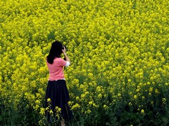 同里图片