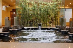 茶山竹海图片