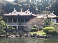 新宿御苑图片