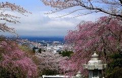 箱根平和公园图片