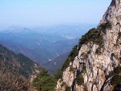 西天目山图片