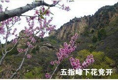 桃源仙谷图片