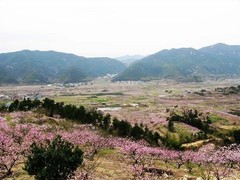 宁海图片