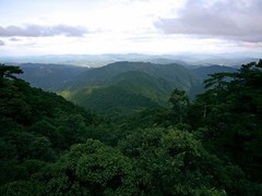 井冈山图片