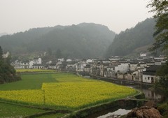洪村