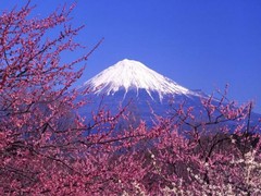 富士山