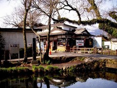 忍野八海图片