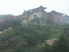 泰山