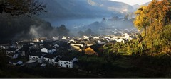 洪村