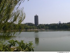 风中西湖