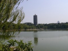 西湖图片