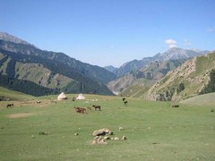 天山大峡谷图片