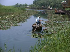 太湖图片