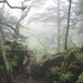 神农架 湖北 神农架 神龙架 神农架 湖北 神农架 神龙架