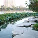 福州大学