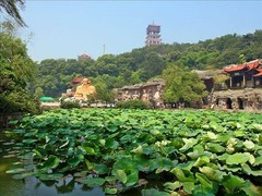 鼋头渚图片