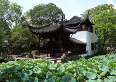 拙政园图片