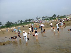 美丽的湖图片