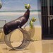 上海野生动... 海狮表演2