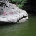  绿映珍珠袂