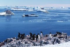 阿根廷火地岛6月天气预报_阿根廷什么时候去